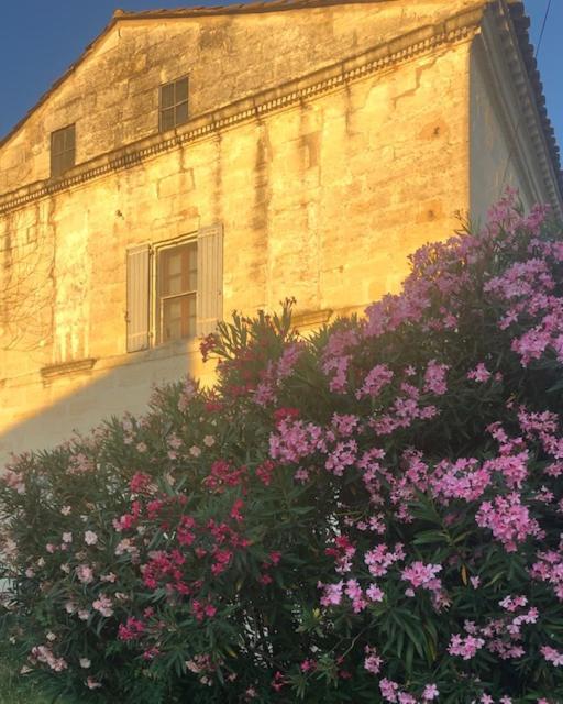 Le Mas Blanc Saint-Gilles  Exteriér fotografie